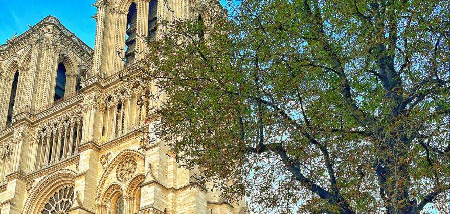 Notre-Dame de Paris